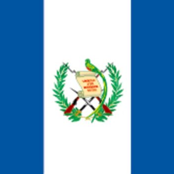 グアテマラSHB　ドリップパック10袋