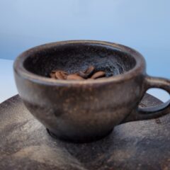 2月の予定になりますと今年の試み