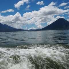 グァテマラアティトランブルーレイクハニー　完売しました