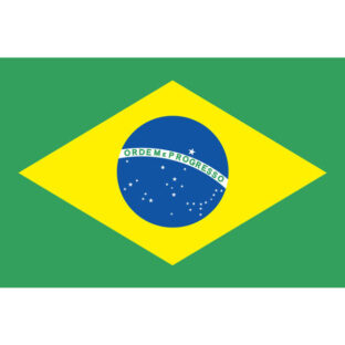 ブラジルサントスNO.2　100g　豆or粉