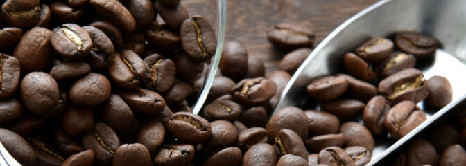 世界各地から厳選！上質なコーヒー豆 特集