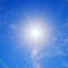 本日5/24は真夏日の為、時間が変更になります。