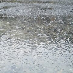 5/16.17お休みします。