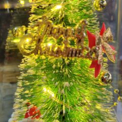 12月の予定が変更になりました。