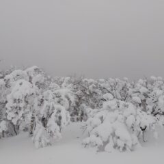 2/8本日雪の為、お休みです